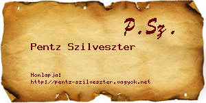 Pentz Szilveszter névjegykártya
